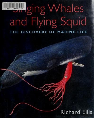 Tapa de Singing whales and flying squid