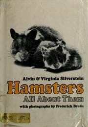 Tapa de Hamsters: all about them