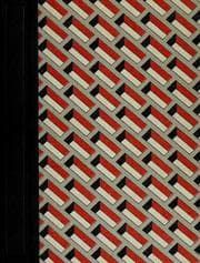 Tapa de The enduring vision