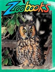 Tapa de Owls