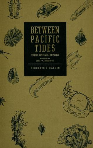 Tapa de Between Pacific tides