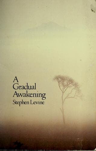 Tapa de A gradual awakening
