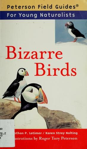 Tapa de Bizarre birds