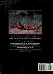 Tapa de Animal babies