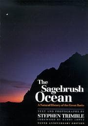 Tapa de The Sagebrush Ocean