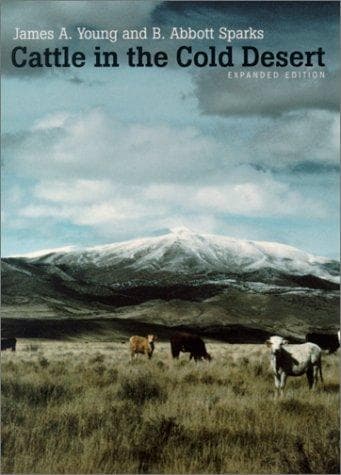 Tapa de Cattle in the cold desert