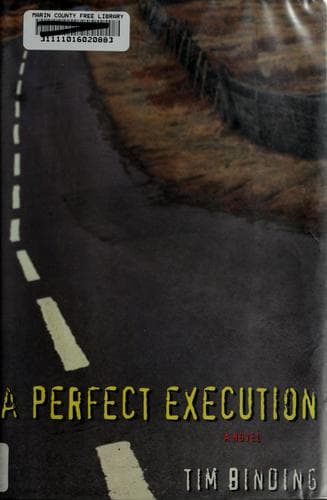 Tapa de A perfect execution