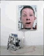 Tapa de Tim Hawkinson