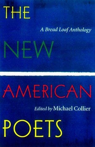 Tapa de The New American Poets