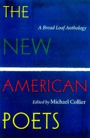 Tapa de The new American poets
