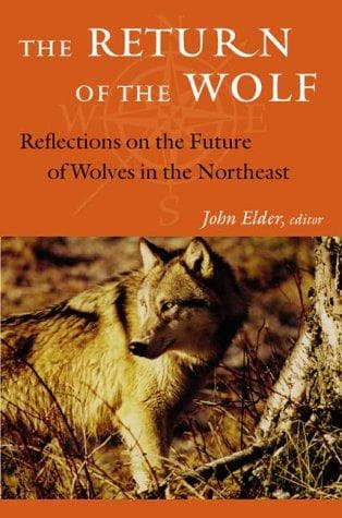 Tapa de The Return of the Wolf