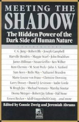 Tapa de Meeting the shadow