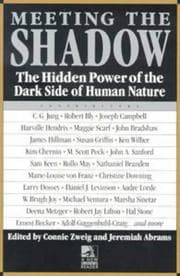 Tapa de Meeting the shadow