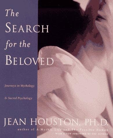 Tapa de The search for the beloved