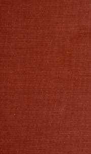 Tapa de The prodigal rake