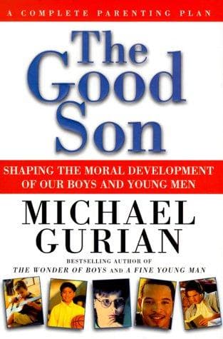 Tapa de The Good Son