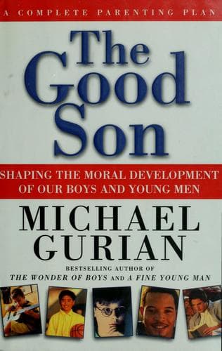 Tapa de The good son