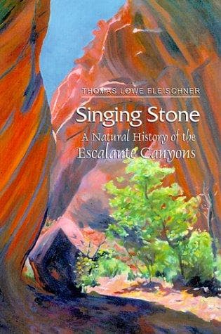 Tapa de Singing stone