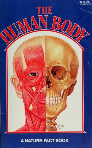 Tapa de Human body