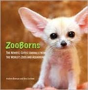Tapa de ZooBorns