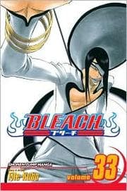 Tapa de Bleach Volume 33