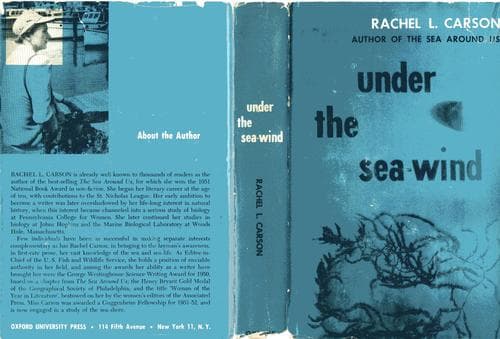 Tapa de Under the sea-wind