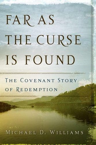 Tapa de Far As The Curse Is Found