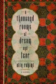 Tapa de A thousand rooms of dream and fear