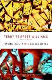 Tapa de Finding beauty in a broken world