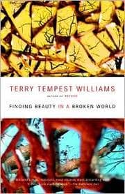 Tapa de Finding beauty in a broken world