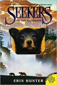 Tapa de The Last Wilderness