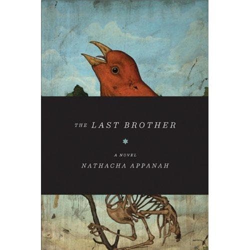 Tapa de The Last Brother