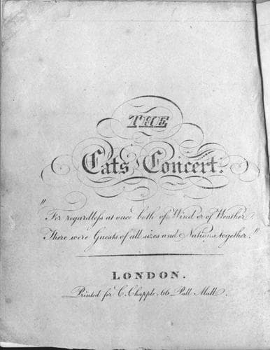 Tapa de The Cats Concert
