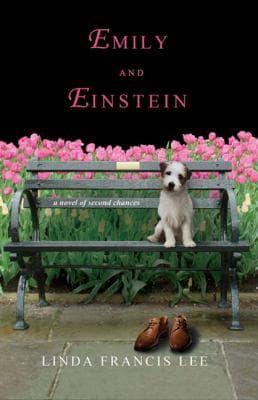 Tapa de Emily and Einstein