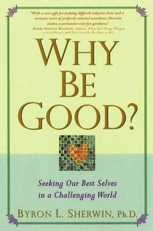 Tapa de Why be good?