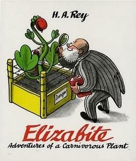 Tapa de Elizabite