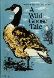 Tapa de A wild goose tale