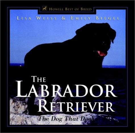 Tapa de The Labrador retriever