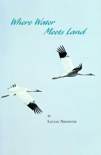 Tapa de Where water meets land