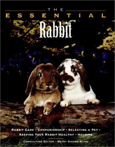 Tapa de The essential rabbit