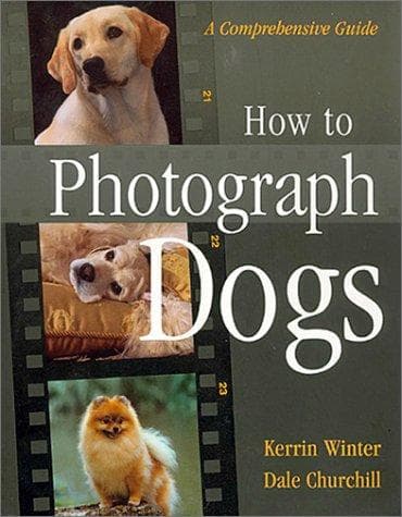 Tapa de How to photograph dogs