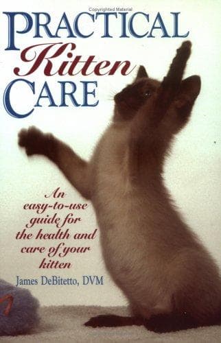 Tapa de Practical kitten care