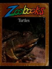 Tapa de Turtles