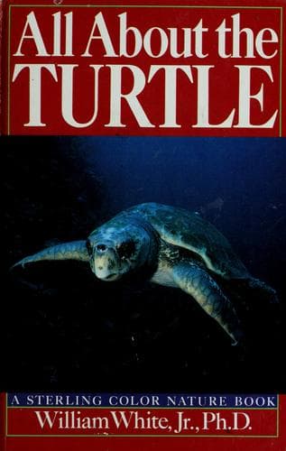Tapa de All about the turtle