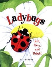 Tapa de Ladybugs