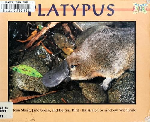 Tapa de Platypus