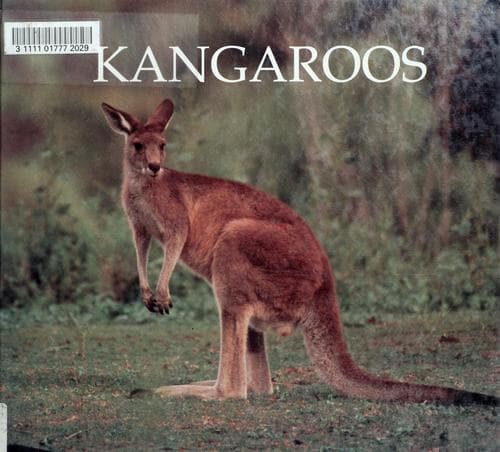 Tapa de Kangaroos