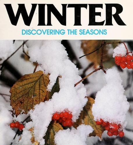 Tapa de Winter
