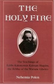 Tapa de The Holy Fire