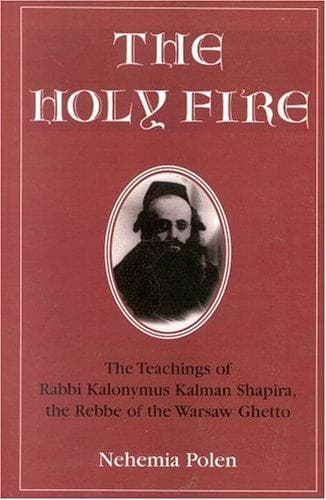 Tapa de The Holy Fire